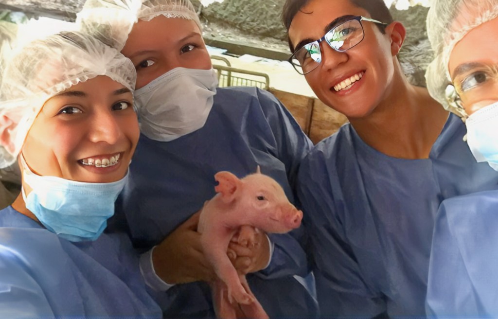 práctica de estudiantes de Ingeniería Agroindustrial con un cerdito bebé en manos