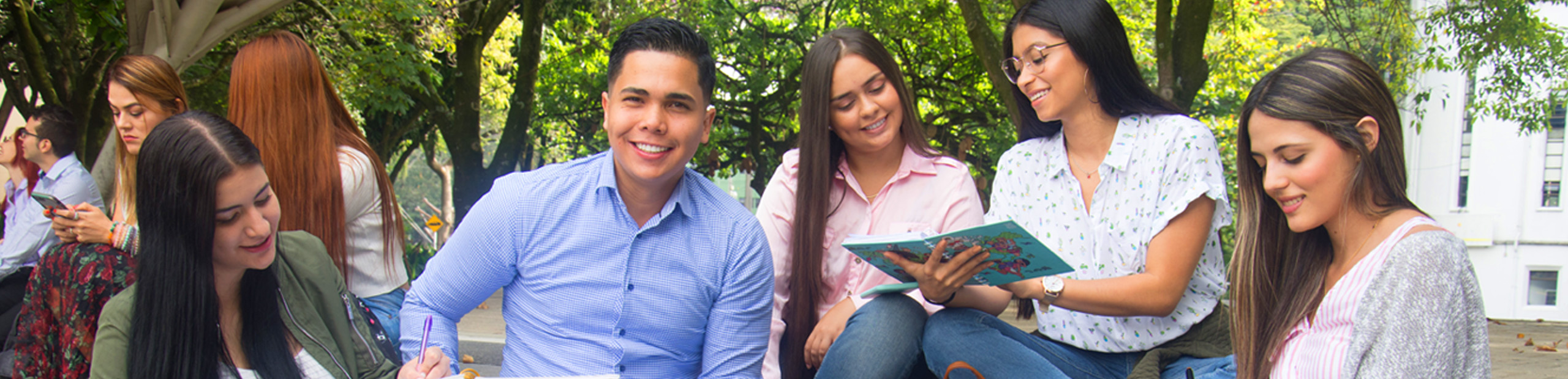estudiantes jóvenes realizando actividades académicas y compartiendo al aire libre