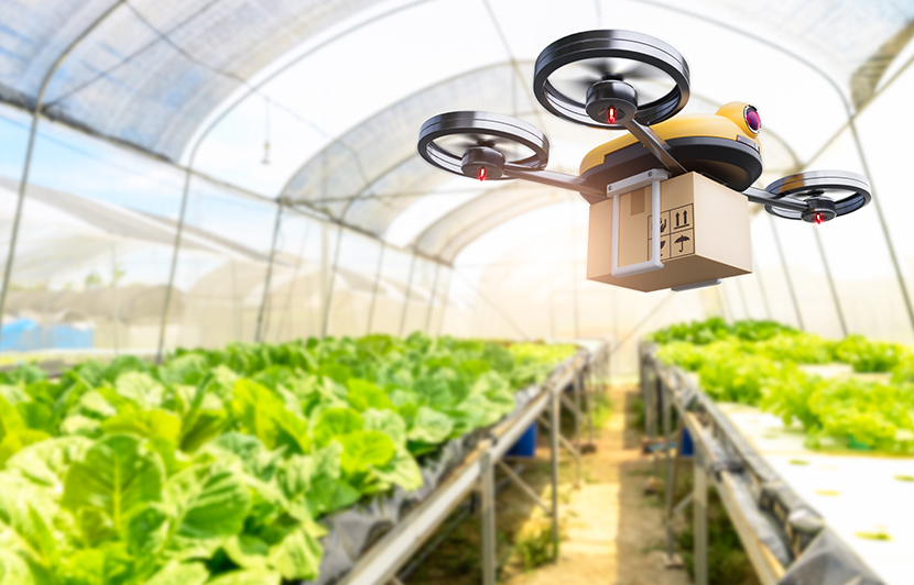 tecnología de drones aplicada a la gestión y distribución en invernaderos