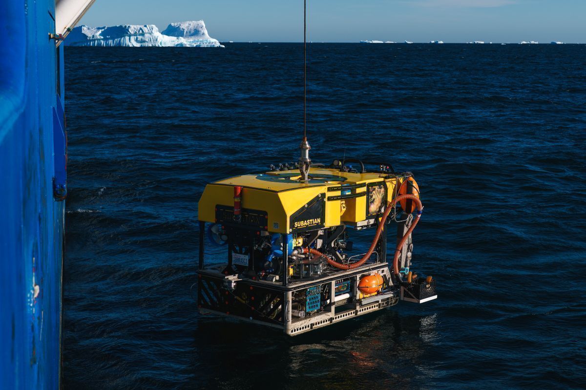 Vehículo ROV SuBastian / fotografía: Alex Ingle/ Schmidt Ocean Institute.