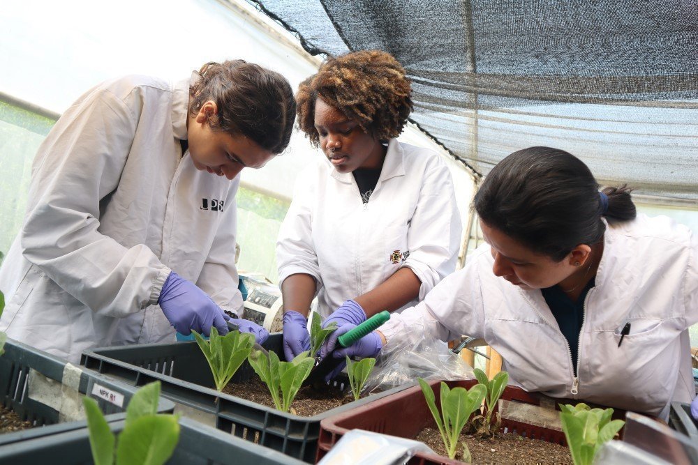 En el invernadero del Colegio UPB fueron sembradas plantas con hidrogel, para su monitoreo.