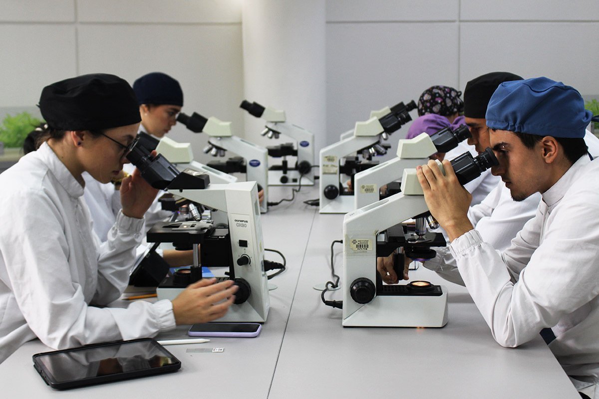 Laboratorio