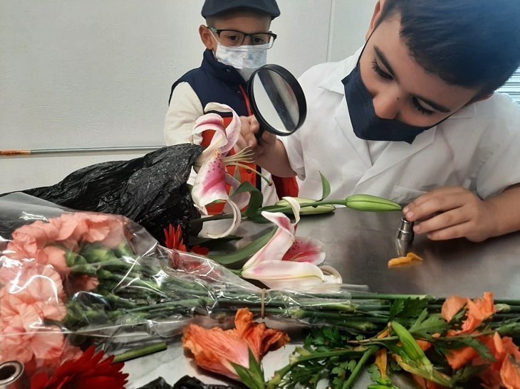 Estudiantes explorando con una lupa