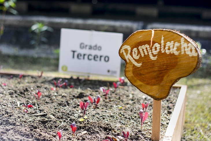 Día de la Tierra