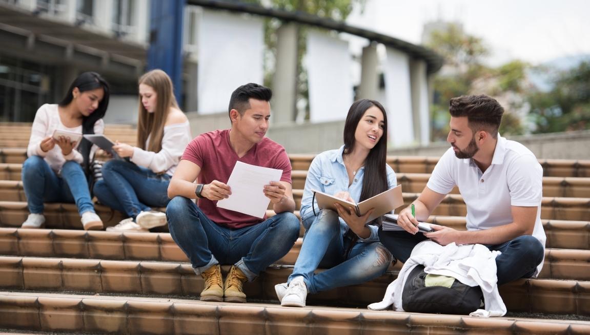 Sobre la Universidad