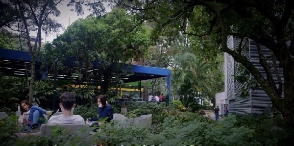 Ser carbono neutro, un avance en sostenibilidad | EcoCampus UPB
