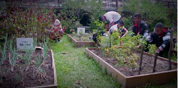 Eco Campus UPB, estrategia ambientalmente amigable con impacto social