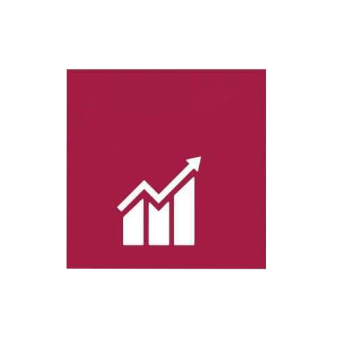 8. Trabajo decente y crecimiento económico