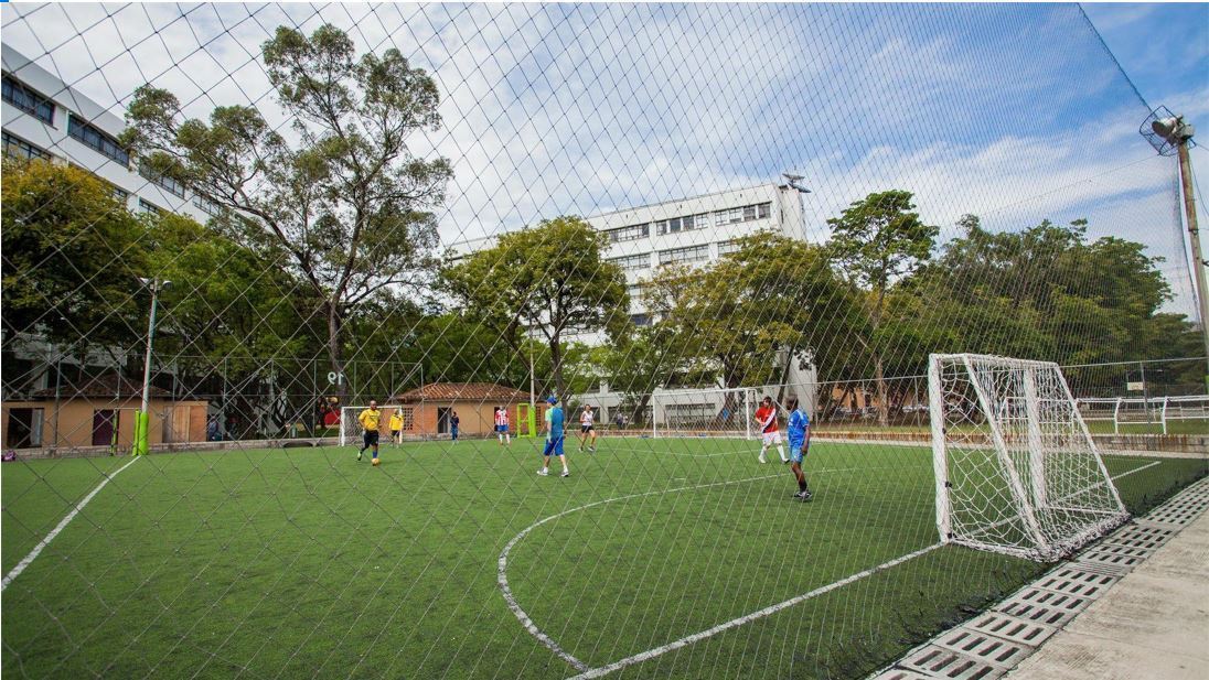 Cancha sintética bloque 19